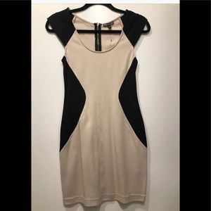 Express body con dress